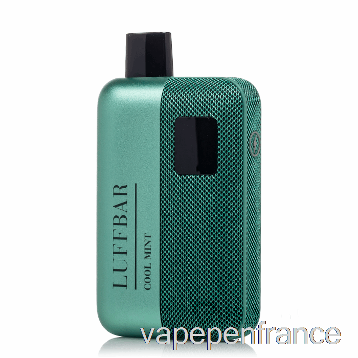 Luffbar Tt9000 Stylo Vape Jetable à La Menthe Fraîche